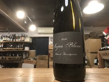 ティボー ブディニョン  アンジュー ブラシ