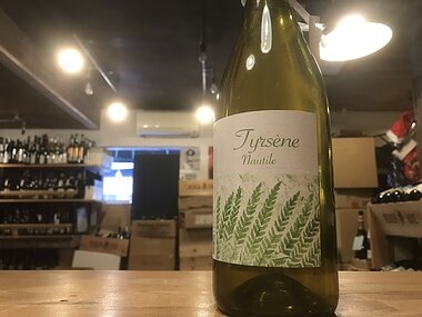 ノティール  ティルセーヌ