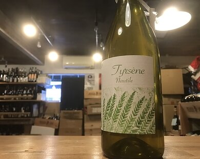 ノティール  ティルセーヌのイメージ