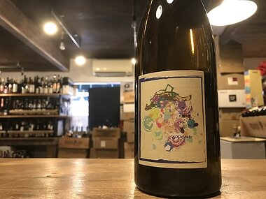 フランツ ソーモン　ボンデジール【2020】